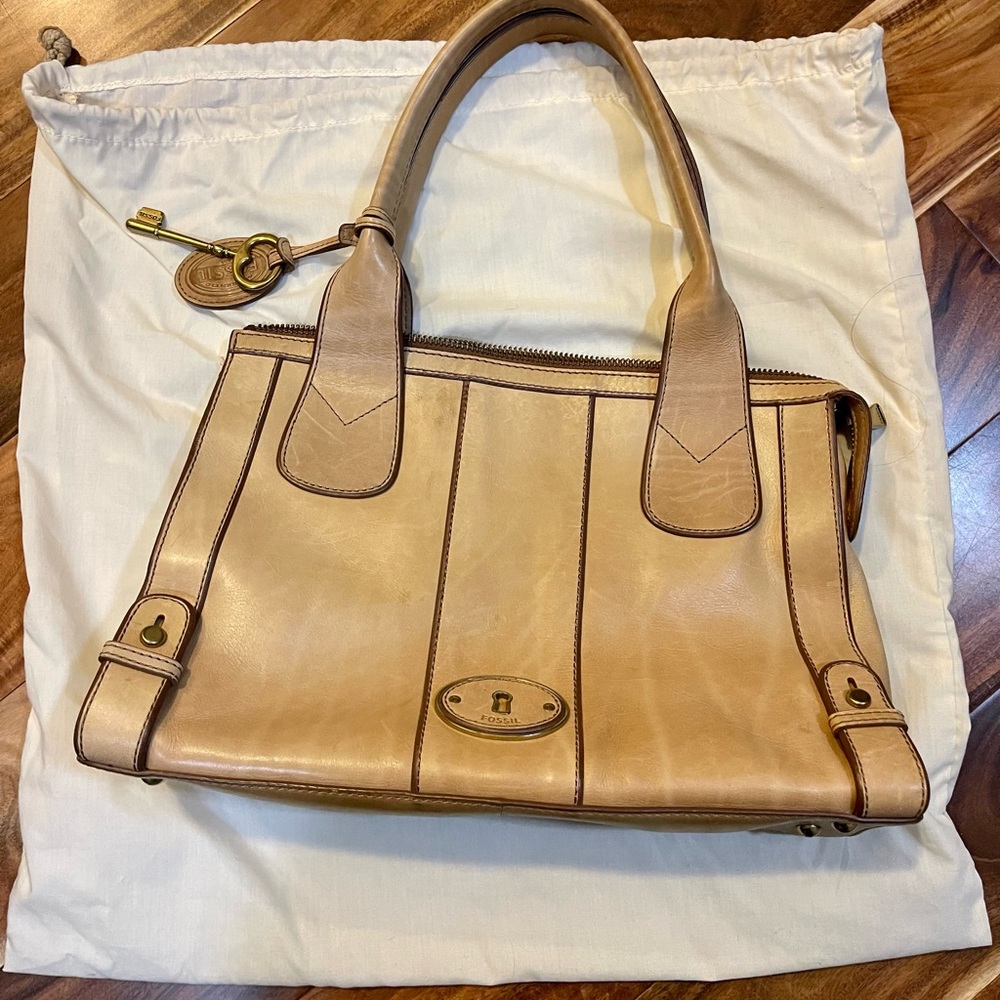 Fossil Handbag